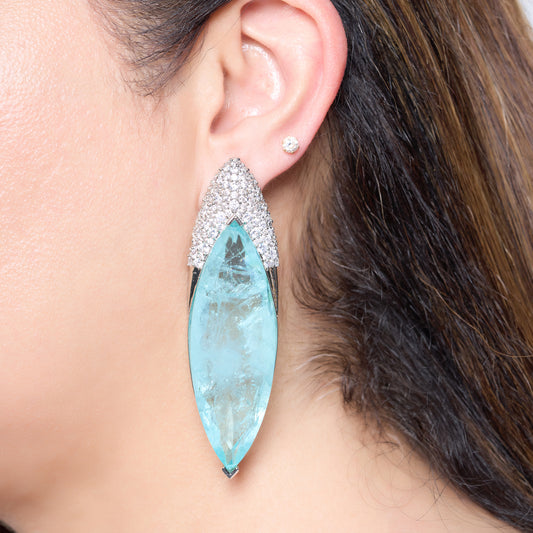 Blue Clear Crystal Earrings with Zircon Crown