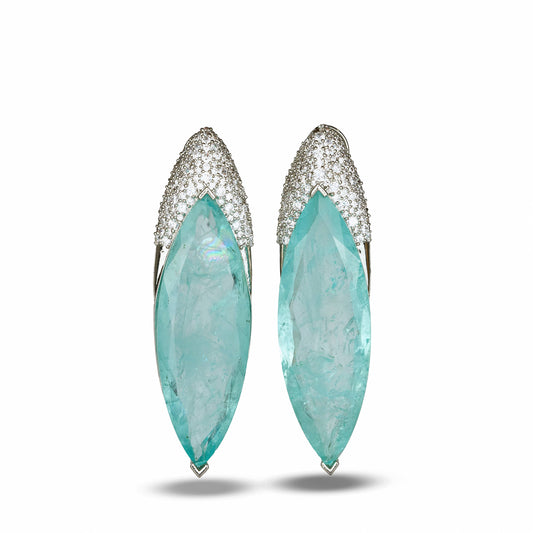 Blue Clear Crystal Earrings with Zircon Crown