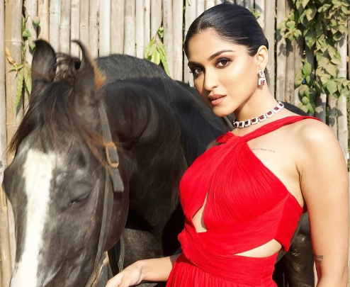 Rectangle Cut Red Synthetic Stone and Zircon Necklace Set