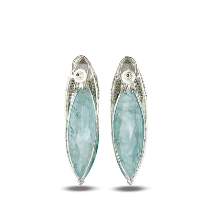 Blue Clear Crystal Earrings with Zircon Crown