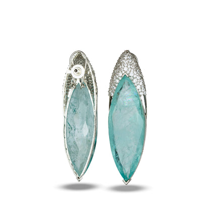 Blue Clear Crystal Earrings with Zircon Crown
